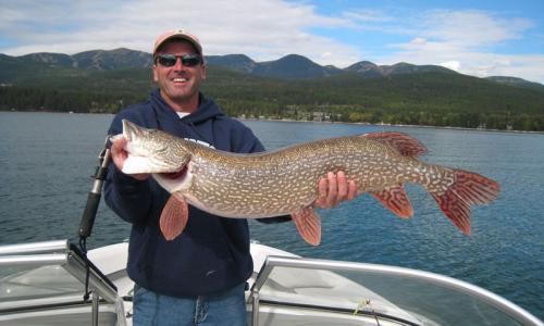 Fishing at Whitefish Lake