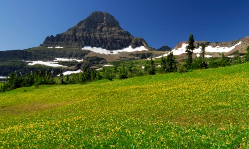 Montana Glacier National Park