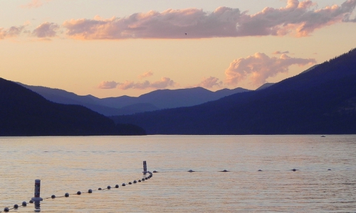 Whitefish Lake
