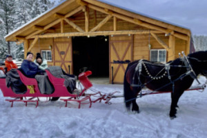 Cripple Creek Sleighs