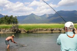 Wild Trout Angling Adventures on the Swan River