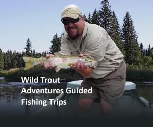 Wild Trout Adventures - angling around Glacier
