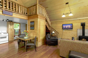 Summit Mountain Lodge - cabin lodges