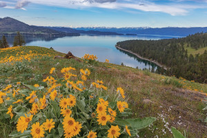 Sea Me Paddle - Wild Horse Island kayak tour