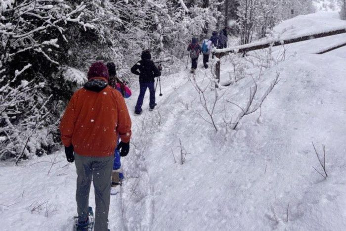 Tour Glacier Tours — Somers, MT