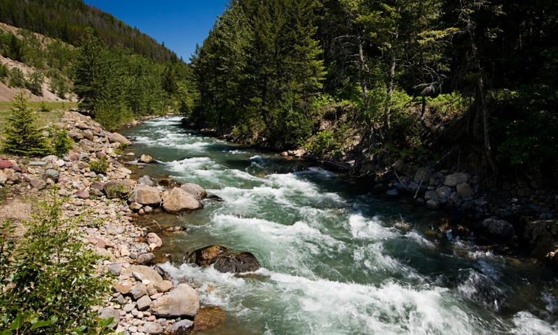Bear Creek in Flathead National Forest