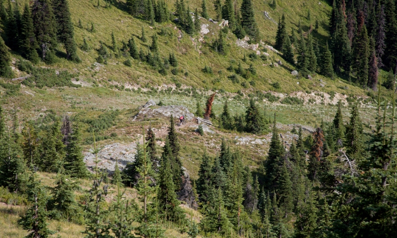 Whitefish Montana Big Mountain Resort Mountain Biking