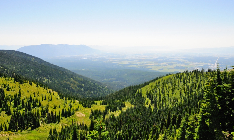 Whitefish Mountain in the Summer