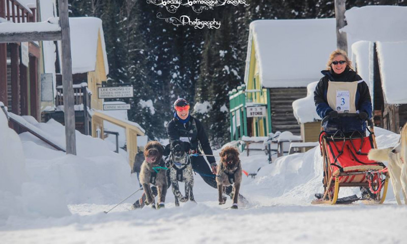 Flathead Sled Dog Days
