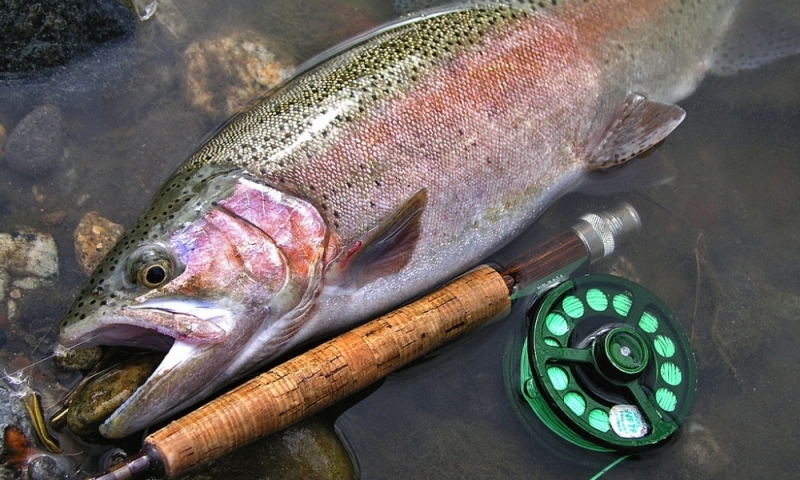 Gallatin Gateway Montana Baden Ranch Fishing