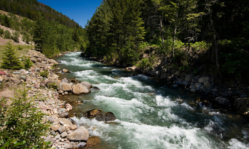 Flathead National Forest