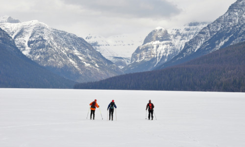 Cross Country Skiing