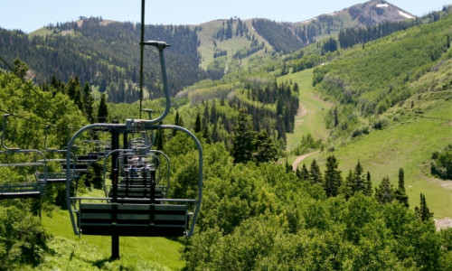 Ziplines & Gondola Rides